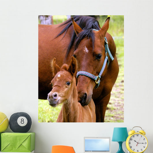 Mare and Colt Nuzzling Wall Decal