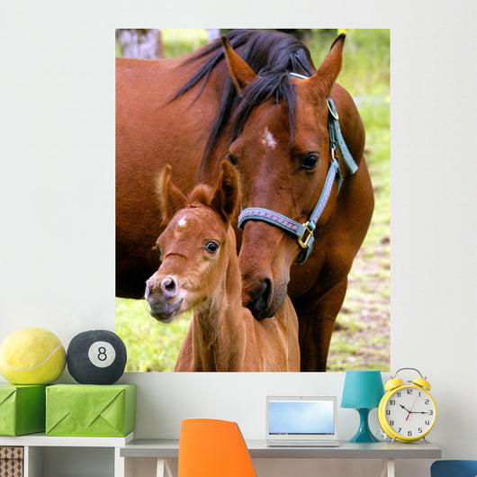 Mare and Colt Nuzzling Wall Decal