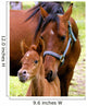 Mare and Colt Nuzzling Wall Decal