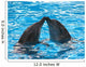 Kissing Dolphins Wall Decal
