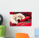 Sleeping Puppy Plaid Wall Decal