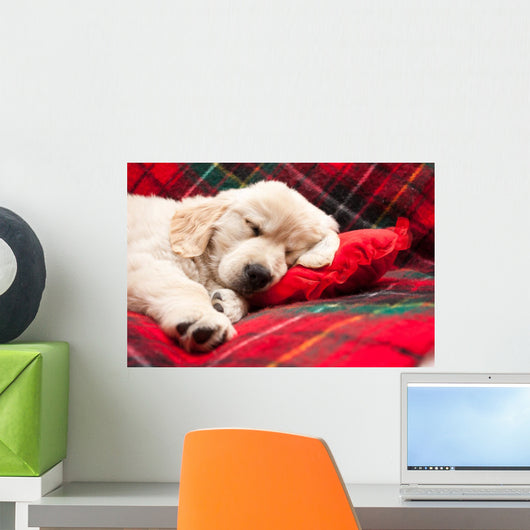 Sleeping Puppy Plaid Wall Decal
