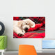 Sleeping Puppy Plaid Wall Decal