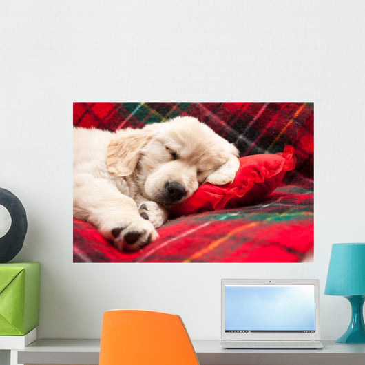 Sleeping Puppy Plaid Wall Decal