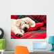 Sleeping Puppy Plaid Wall Decal