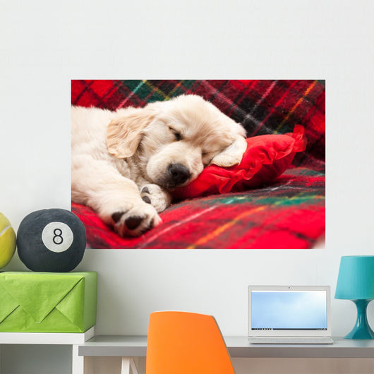 Sleeping Puppy Plaid Wall Decal