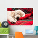 Sleeping Puppy Plaid Wall Decal