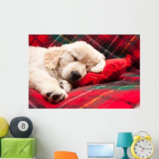 Sleeping Puppy Plaid Wall Decal