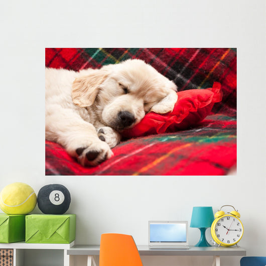 Sleeping Puppy Plaid Wall Decal