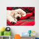 Sleeping Puppy Plaid Wall Decal