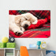 Sleeping Puppy Plaid Wall Decal