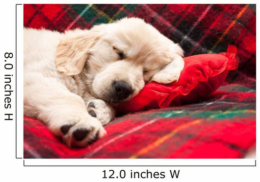 Sleeping Puppy Plaid Wall Decal