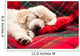 Sleeping Puppy Plaid Wall Decal