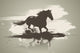 Horse Wall Decal Design 2