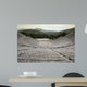 Ancient Theatre Wall Decal