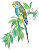 Australian Parakeet Wall Decal