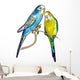 Budgie Wall Decal
