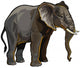 African Elephant Wall Decal