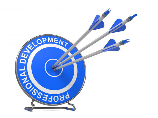 Professional Development Business Concept Wall Decal