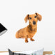 Dachshund Dog Wall Decal