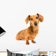 Dachshund Dog Wall Decal