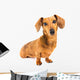 Dachshund Dog Wall Decal