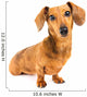 Dachshund Dog Wall Decal