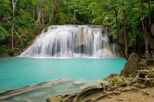 Jungle Waterfall Wall Decal