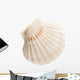 Scallop Shell Wall Decal
