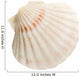 Scallop Shell Wall Decal