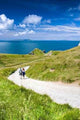 Walk down to Dordle Wall Decal