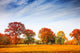 Autumn Trees Landscape Fall Wall Decal