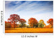 Autumn Trees Landscape Fall Wall Decal