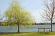 River Wall Decal Design 5