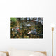 Koi Fish Pond Koi Wall Decal