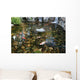 Koi Fish Pond Koi Wall Decal