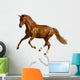 Chestnut Horse Wall Decal