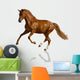 Chestnut Horse Wall Decal