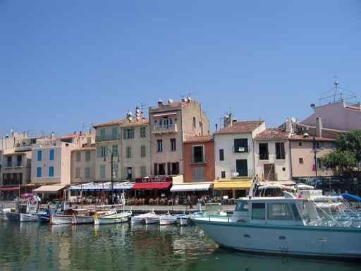 Cassis Wall Decal