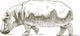 Hippopotamus Wall Decal