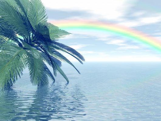 Rainbow Wall Decal