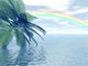 Rainbow Wall Decal