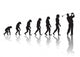 Evolution Golf Wall Decal