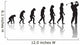 Evolution Golf Wall Decal