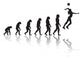 Evolution Volleyball Girl Wall Decal