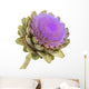 Artichoke White Background Wall Decal
