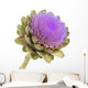 Artichoke White Background Wall Decal
