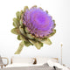 Artichoke White Background Wall Decal