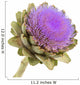 Artichoke White Background Wall Decal
