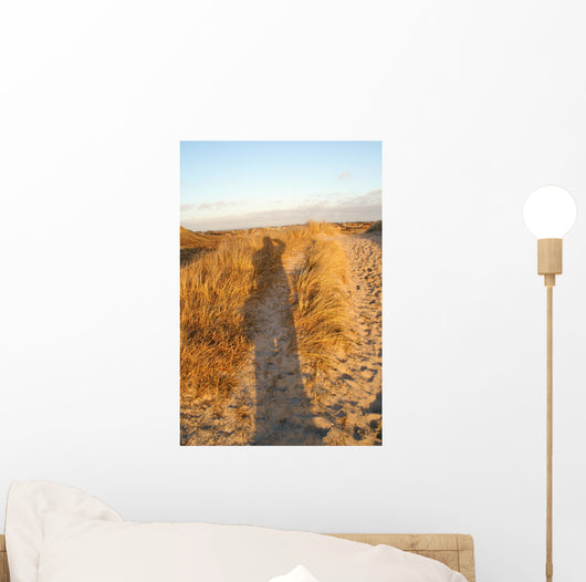 Panoramic over Dunes Evening Wall Decal
